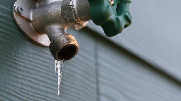 Best Leak Detection Services  in Ardmore, TN